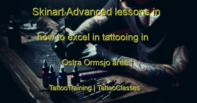 Skinart Advanced lessons in how to excel in tattooing in Ostra Ormsjo area | TattooTraining | TattooClasses | SkinartTraining-Sweden